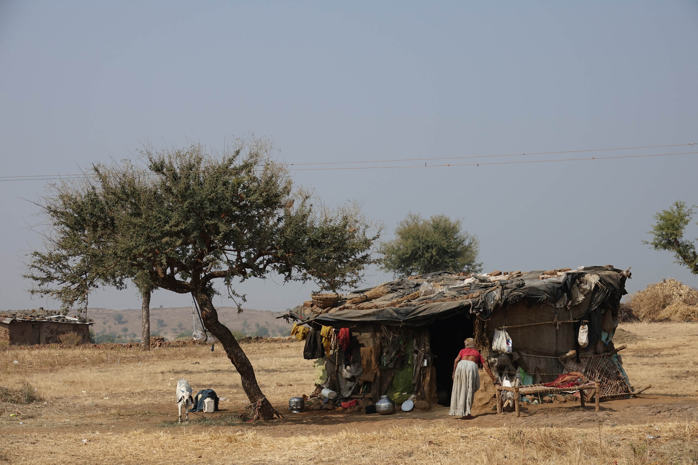 Eritrea Stock Image 4