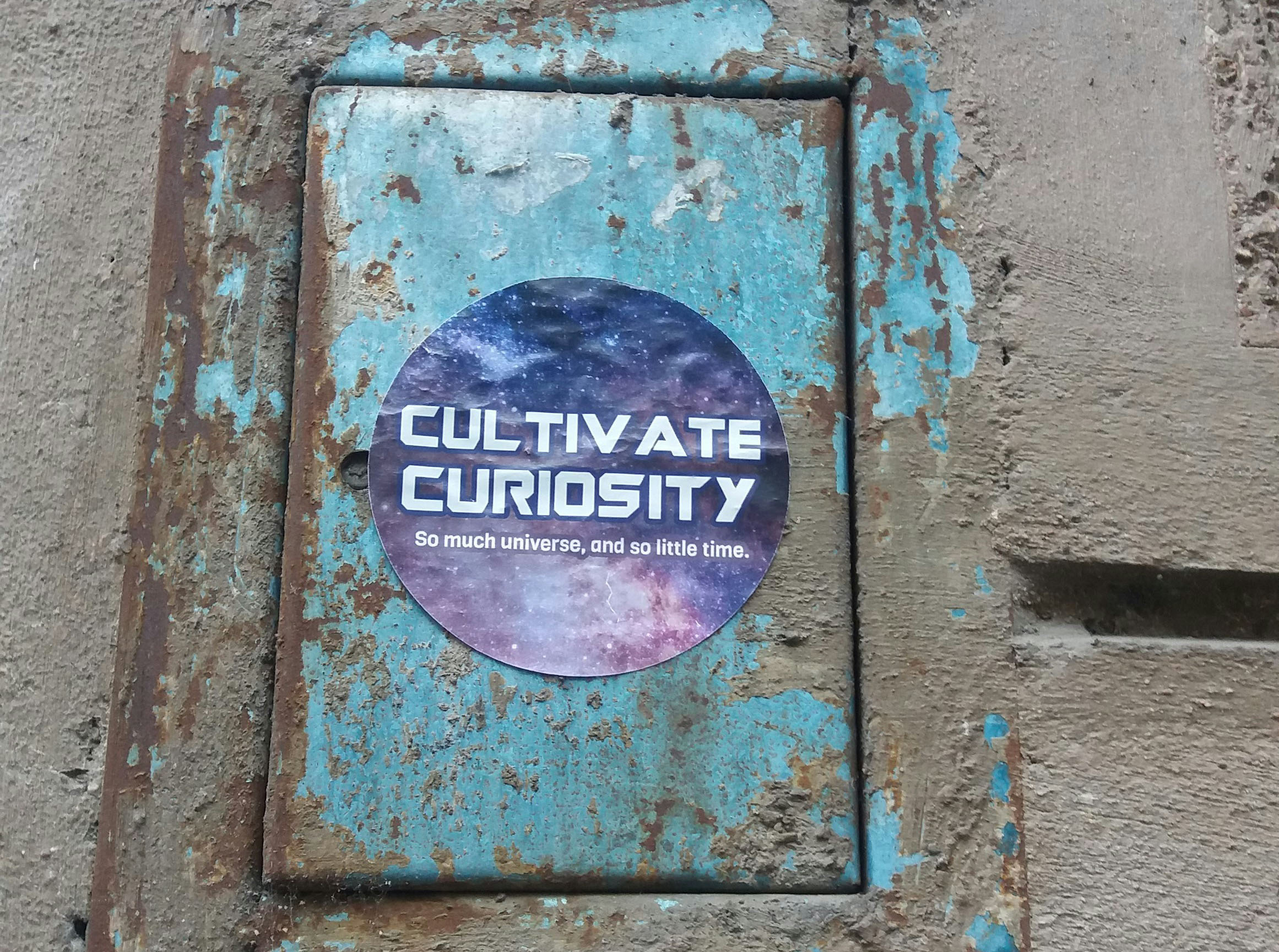 Cultivate Curiosity