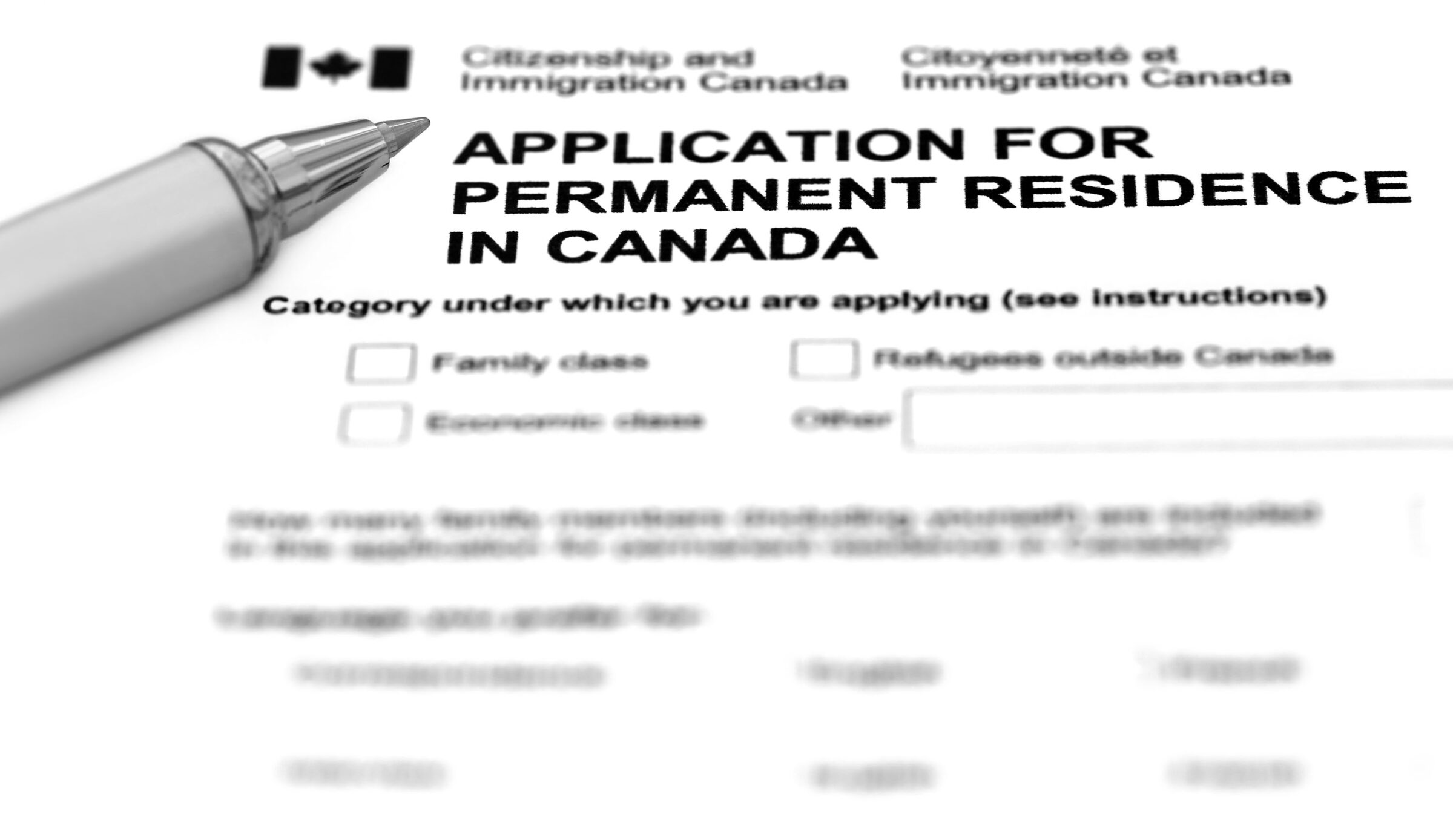 Visa Application Form Filling